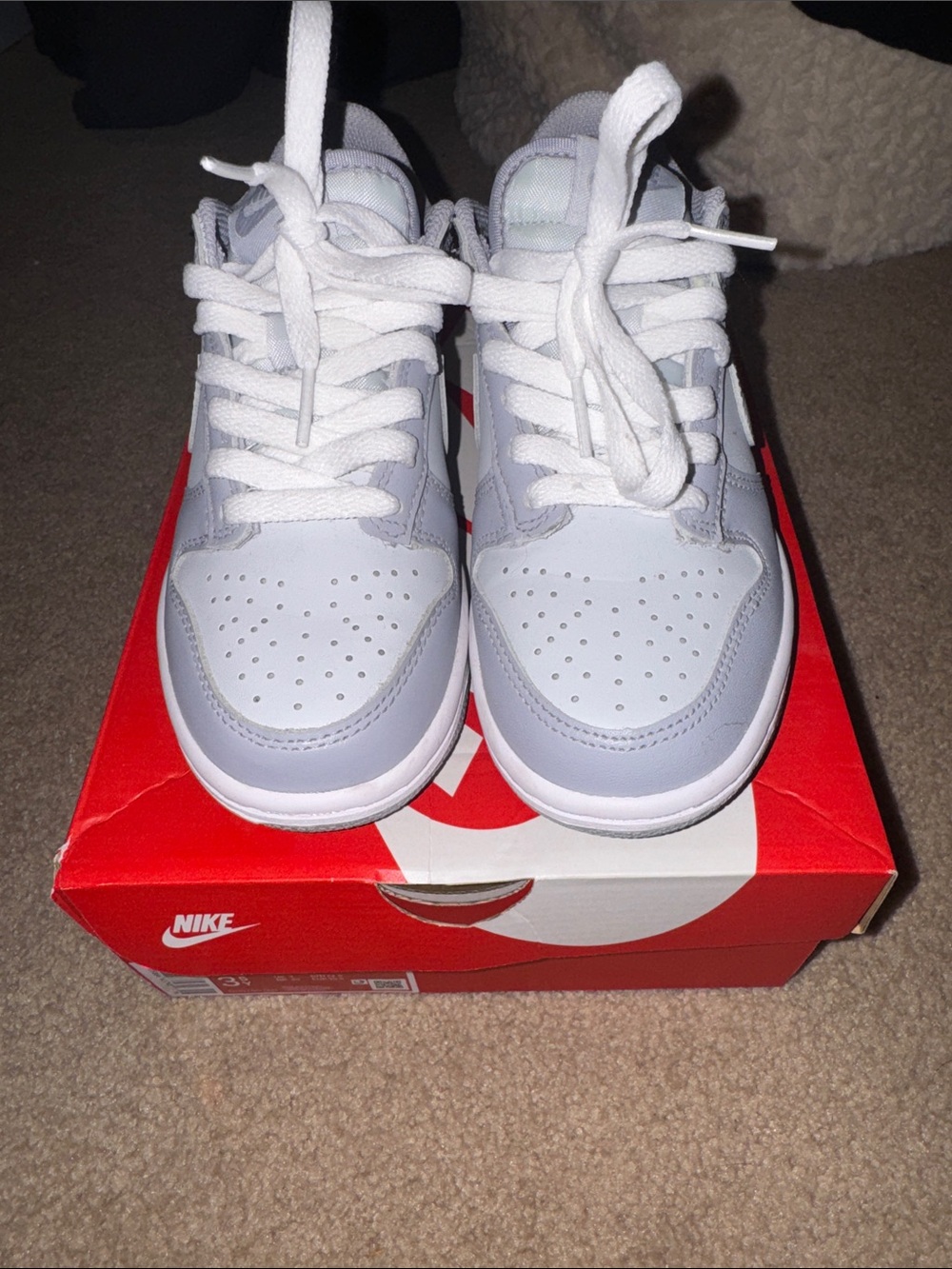 Nike Kids Gray and Light Gray Dunks